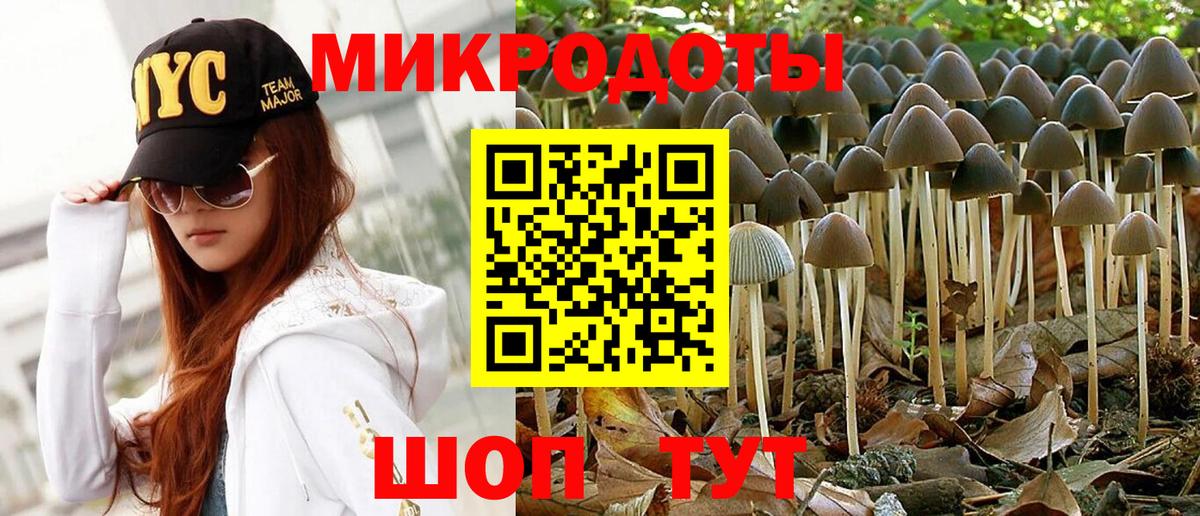 Галлюциногенные грибы MAGIC MUSHROOMS  Вход с VPN  Минеральные Воды 